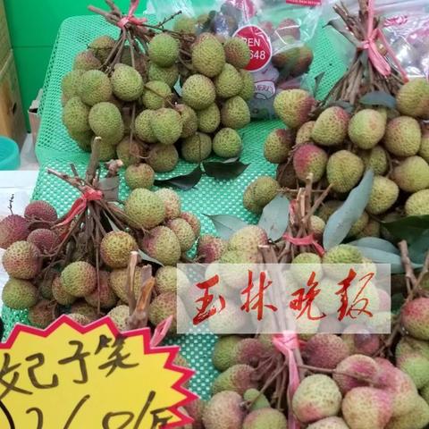玉林十五中学的校园环境怎么样？