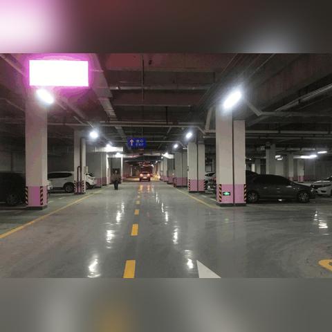 武汉他裸嗨的相关长尾关键词有哪些