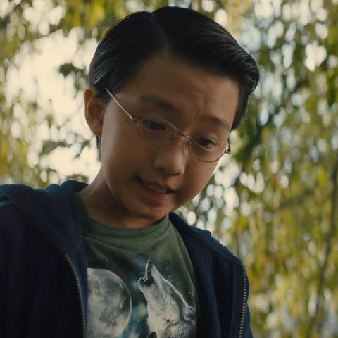 生肖狗5月运势完整版(生肖狗5月运势如何)