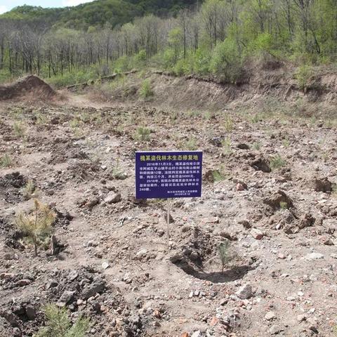 哈尔滨回收树木电话相关长尾关键词有哪些