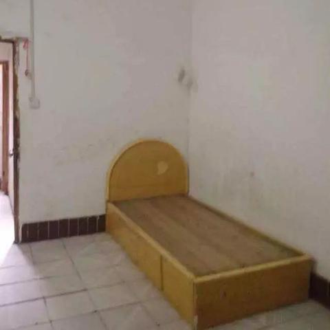 桂林市宠物回收市场在哪里