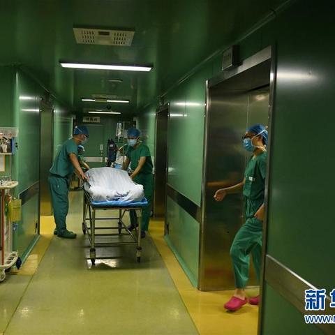 石家庄市省医院几路的长尾关键词有哪些