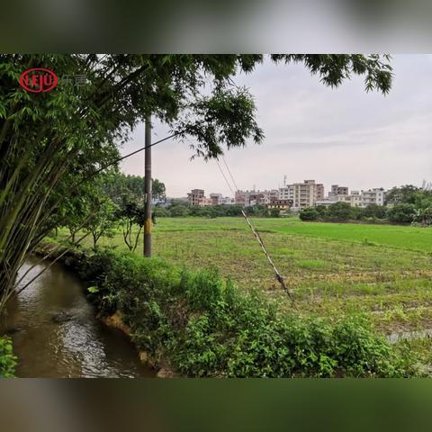广州市从化什么时候改区