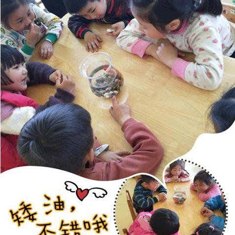 临沂市卖鱼缸市场在哪里