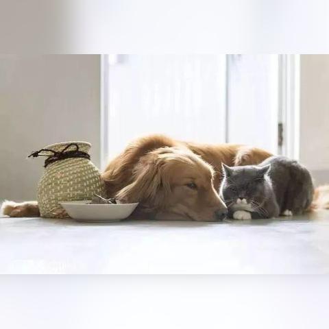 温州市前花眼镜厂在哪里