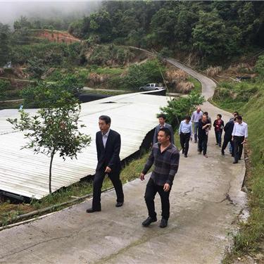 福建上杭属于哪个市哪个区