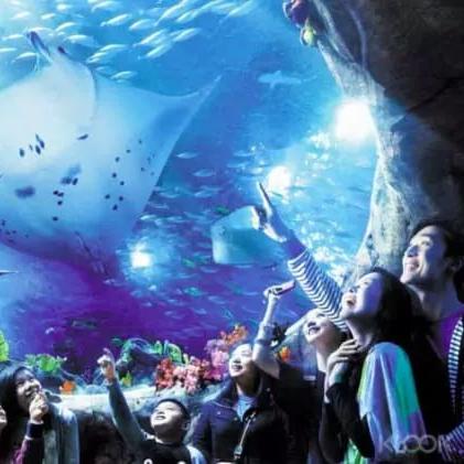 香港海洋公园旅游攻略.香港海洋公园游玩攻略？