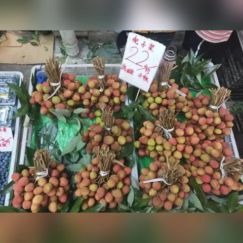 昆明市荔枝街道的长尾关键词有哪些