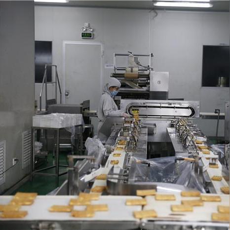 东莞市茶山哪里蛋糕好吃