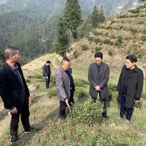 重庆宏协承工资怎么样