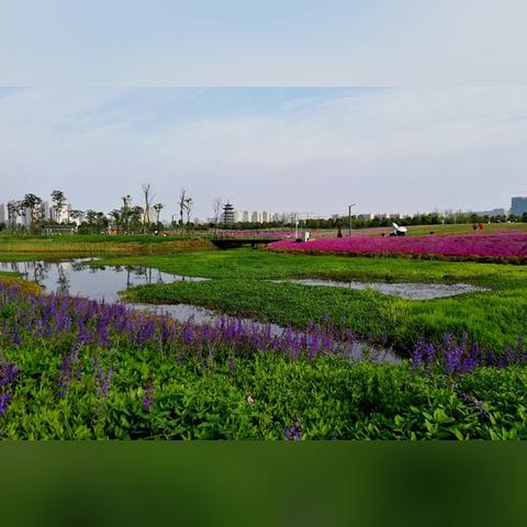 长沙市设计院待遇怎么样