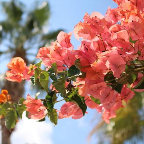 东莞市粤盈二手设备回收的长尾关键词有什么