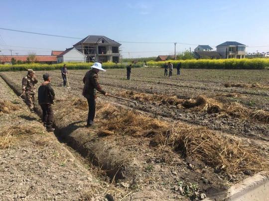 如东这个基地养殖的“小不点”，一斤竟能卖到200多元！而且