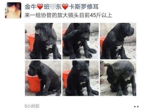 阜阳宝宝起名,王东岳却称易经过于幼稚