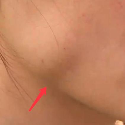 哈尔滨市鸡蛋价格相关长尾关键词有哪些