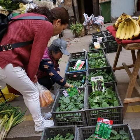 哈尔滨二手花盆相关长尾关键词有哪些