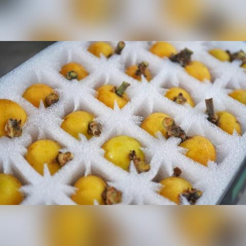 顺丰到桂林高铁相关长尾关键词有哪些