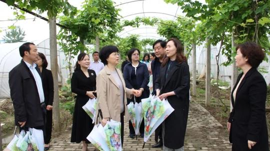 寻找“2+n”巾帼产业扶贫的“活样板”——湖北省妇联副主席王保举赴荆州调研