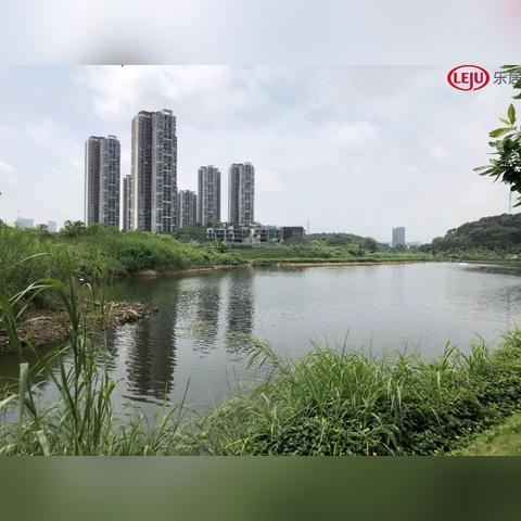 杭州市星汇花园是什么区