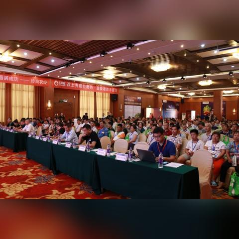 广东东莞市茶山镇上元的长尾关键词有什么