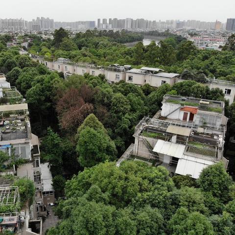 成都市房价带花园的小区的长尾关键词有什么