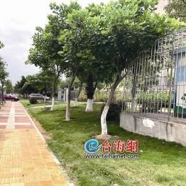 厦门市最高楼在哪个位置