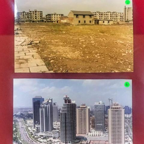 关于上海 拍牌 标书相关关键词有哪些