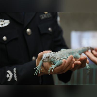 无锡市的宠物店在哪里啊