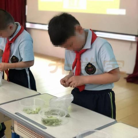 杭州市有什么小学