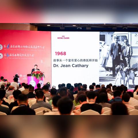 厦门宠物转让的相关长尾关键词有哪些