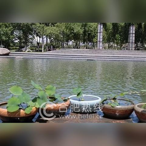 合肥市到武汉拼车多少钱