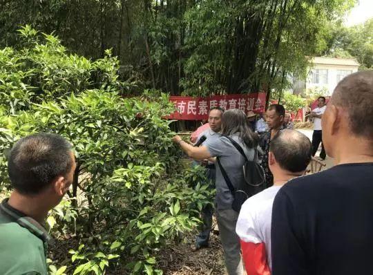 柑橘栽培技术培训考试题及答案大全图片（潭州农业柑橘栽培技术）