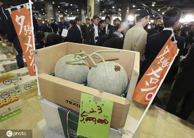 日本两个蜜瓜拍出16万是什么情况