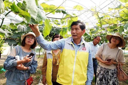 杜鹃花开·新时代文明实践在宜兴——你点单、我服务，陶都木兰葡萄架下“说”文明
