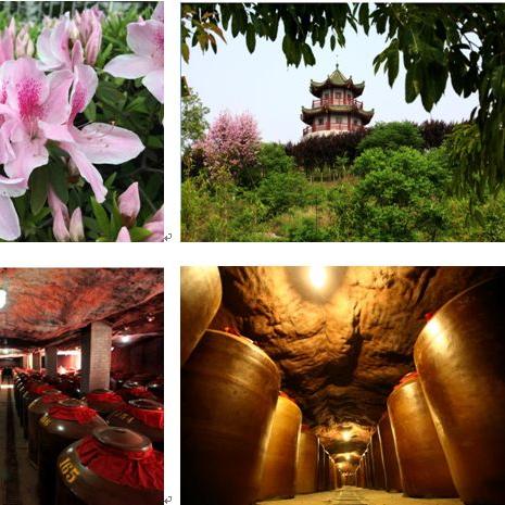 赣州市章贡区体验馆的长尾关键词有什么