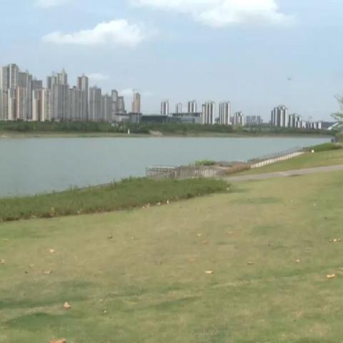 南宁游泳价格的相关长尾关键词有哪些