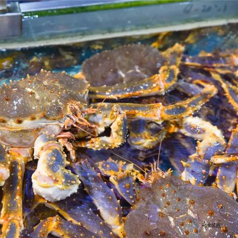 厦门海鲜价格春节的相关长尾关键词有哪些