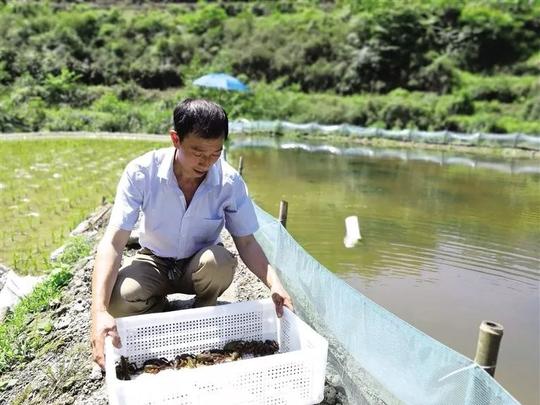 曾应策：返乡创业养殖小龙虾带动村民增收致富