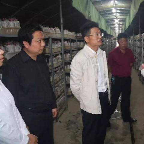 菏泽市乡村公路提升工程的长尾关键词有哪些