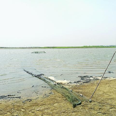 今日哈尔滨市水位是多少
