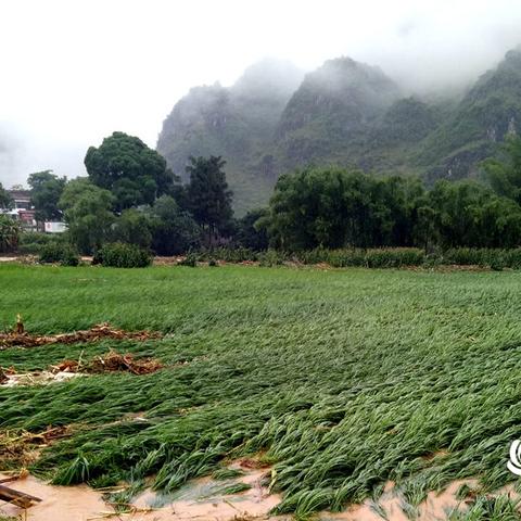 南宁大新县天气的长尾关键词有哪些