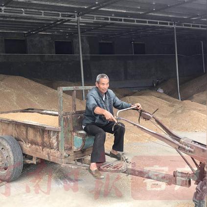 广州麦子仓库相关长尾关键词有哪些