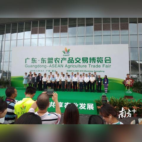 桂林东盟泰国城里面乳胶床垫是真的吗？