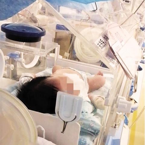 广州黄埔月子相关长尾关键词有哪些