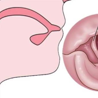 长沙住一晚攻略相关长尾关键词有哪些