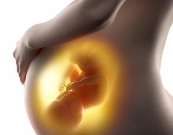 胎儿发育好的孕妈行为有哪些