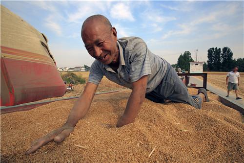 【河南郸城县
 /河南郸城县天气预报】