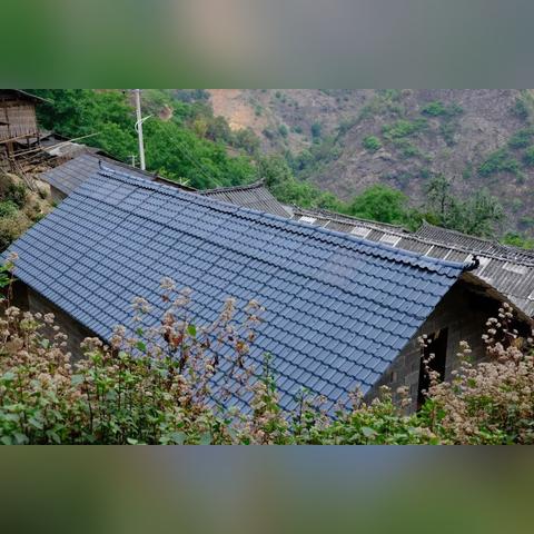 云龙长沙市一中怎么样