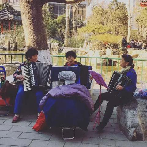 济南 手风琴专卖相关长尾关键词有哪些