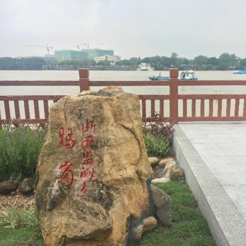广州市五类车是指什么